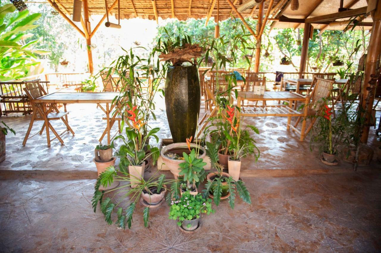 Hot Coffee Guest House And Resort Ban Mae Na Chon Kültér fotó