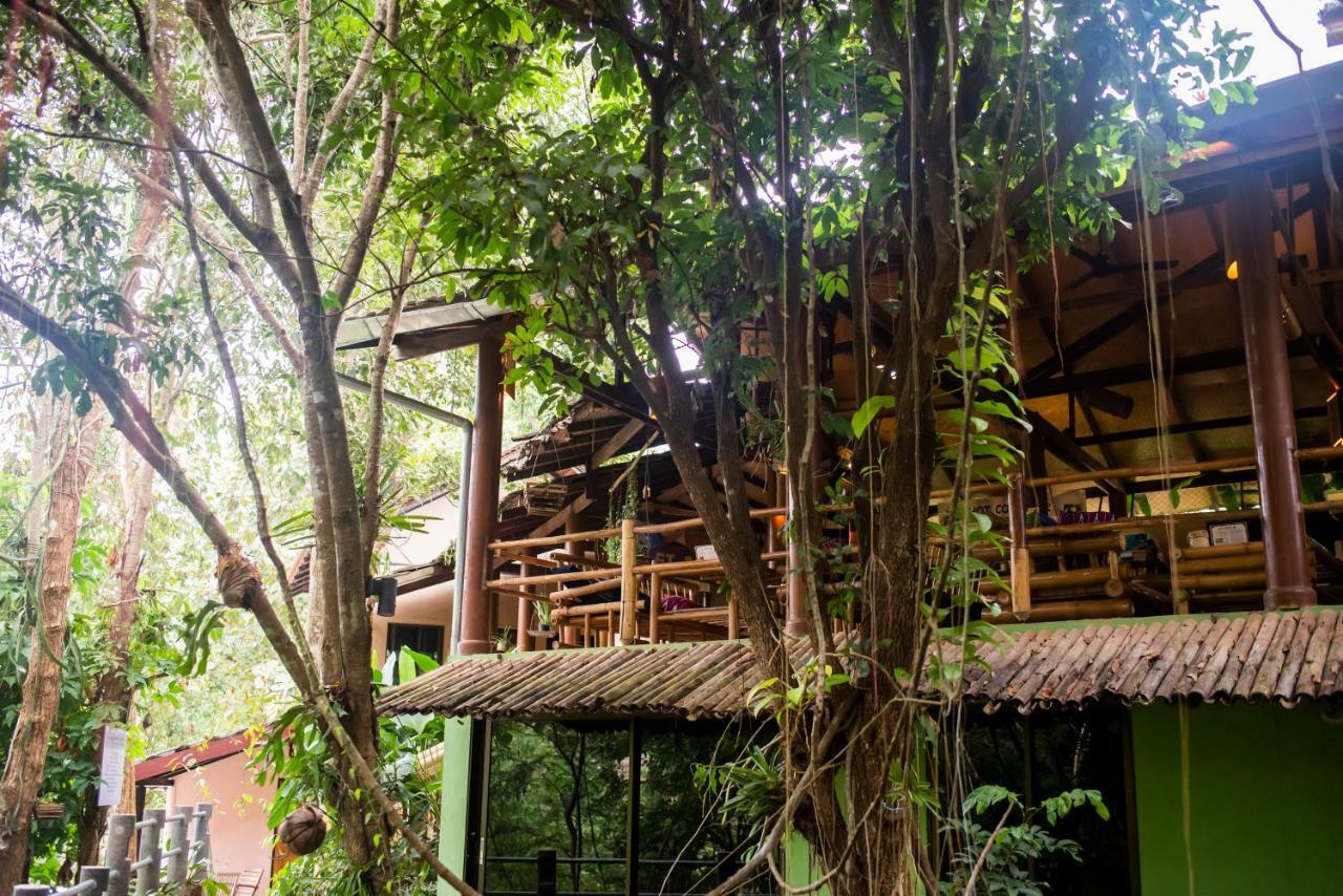 Hot Coffee Guest House And Resort Ban Mae Na Chon Kültér fotó
